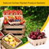 60 Pack 1/2 PARBEE Pulp Fiber Berry Basket, Pint Vented Containers for Strawberry Blueberry Raspberry Grape Cherry