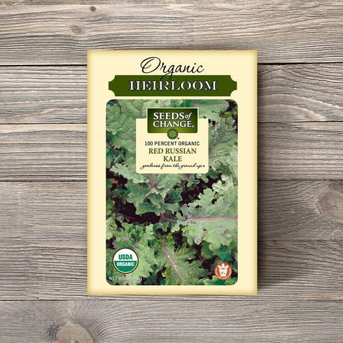 SEEDS OF CHANGE Organic Red Russian Kale seeds