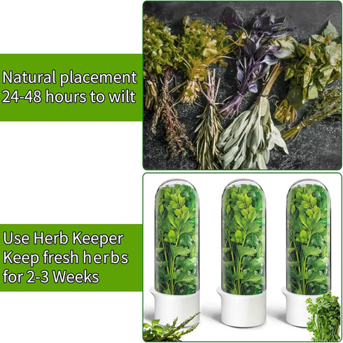 HVECT 2-3 Herb Keeper for Refrigerator, Herb Saver Cilantro Containers for Refrigerator, Fresh Herb Keeper