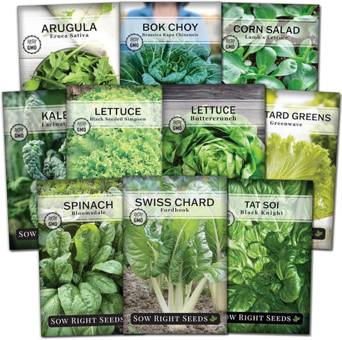 Sow Right Seeds - Large Greens Seed Collection for Planting - Spinach,