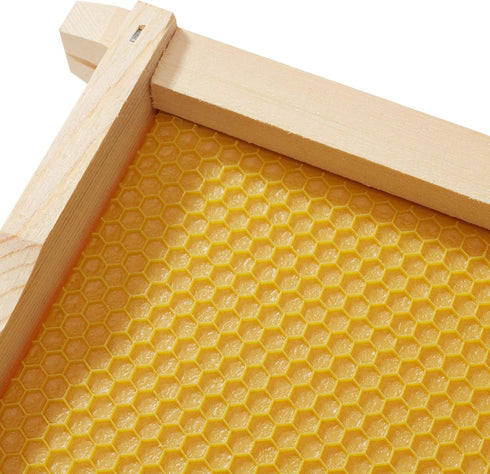 10 6-1/4 inch Honey Keeper Assembled Beehive Frames with Waxed Natural Foundations for Beekeeping