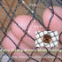 7.5x100 1/2 Meanchen Bird Netting Ft, in Mesh Heavy Duty Garden Netting for Plants, Fruit Trees, Vegetables, Extra