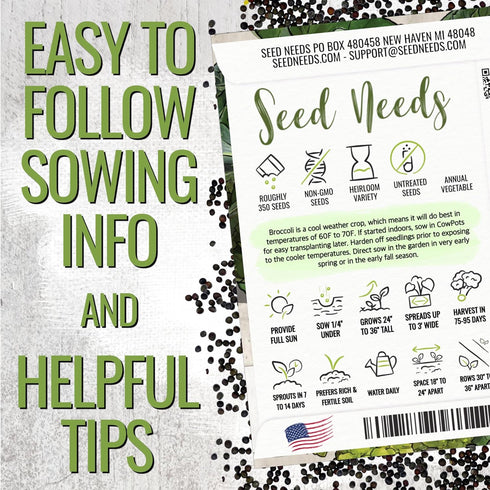 (2 Packs) Seed Needs Cauliflower Seeds for Planting Romanesco Broccoli/Cauliflowers - Non-GMO Heirloom & Untreated