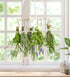 PROTITOUS 2pack Herb Drying Rack With Golden Herb Dryer Hooks, Hanging Rack With Wooden Balls, Golden Color