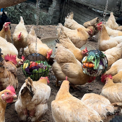 PAMGFCE 7.4 Inch Accessories.2pcs Hanging Chicken Feeder, Metal Large Chicken Ball Cage,Hen Food Rack, Chicken Feeding