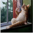 Stupell Industries Canvas Wall Art, House Cat Smoking Lounging in Window Pane, Designed by Lucia Heffernan, 24x24, Brown