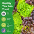 10 Heirloom Lettuce Seeds - Varieties, Non-GMO Seeds for Planting - Includes Spinach, Kale, Arugula, Romaine, Iceberg