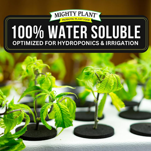 (1 lb) (1, Organic Instant Compost Tea Probiotic Plant Food Bloom Booster & Yield Booster for Hydroponics & All