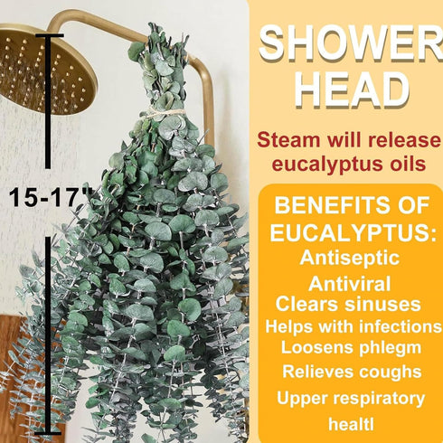 12 PCS Large Dried Eucalyptus Bundle for Shower - 17" Preserved Stems, Fresh Real Leaves for Hanging Decor