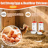 2 Pack Chicken Grit and Oyster Shell Feeder, Automatic PVC Chicken Feeder with Visual Window and Lid, Hanging Chicken