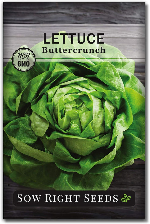 Sow Right Seeds - Buttercrunch Lettuce Seeds for Planting - Non-GMO Heirloom