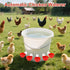 tibaebe 8 Pack Chicken Waterer Cups, Red Automatics Chicken Waterer, Professional Poultry Cups Suitable for Chicks