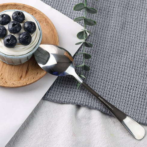 HANSGO 10PCS Stainless Steel Teaspoons, 6.7 Inch Dinner Spoons for Home, Kitchen, or Restaurant