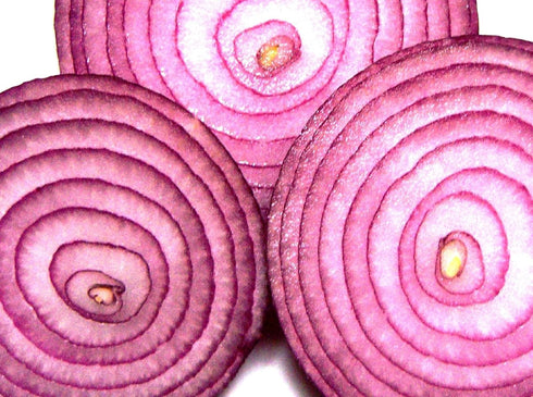 Seed Kingdom 1/4 Lb Onion RED Creole Great Heirloom Vegetable By Bulk Seeds