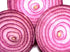 Seed Kingdom 1/4 Lb Onion RED Creole Great Heirloom Vegetable By Bulk Seeds