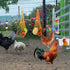 HZxoAxo 12PCS Longer Chain Chicken Toys for Coop Accessories,Xylophone Swing Flexible Ladder String Bag Vegetable