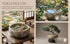 Water Lily Bowl Planter - Narcissus Bonsai Pot Ceramics Hydroponic Lotus Planter Ceramic Water Lily Pot with Stand No