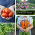 45 Sow Right Seeds - Complete Garden Seed Collection for Planting - Non-GMO Heirloom Vegetable, Herb and Flower