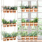 FillTouch 3 Tiered Hanging Herb Planters Hanging Herb Garden Wall with 12 Pcs