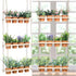 FillTouch 3 Tiered Hanging Herb Planters Hanging Herb Garden Wall with 12 Pcs