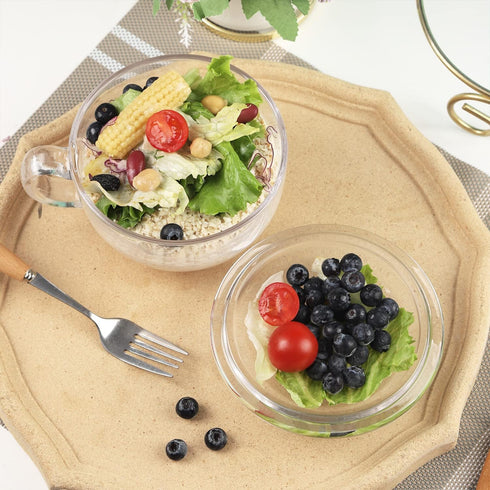 WHJY Small Glass Bowl, Microwave Safe Soup Bowl with Lid and Handle, Clear Oatmeal Bowl for Soup, 500ml/16oz