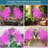 Mefflypee Grow Lights for Indoor Plants, LED Grow Light Stand, Red White Full Spectrum Plant Lamp with Adjustable