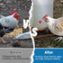 20 Pack Chicken Waterer Nipples - Easy Install Leakproof Poultry Watering System for Chicken Coop, Quail Duck Water