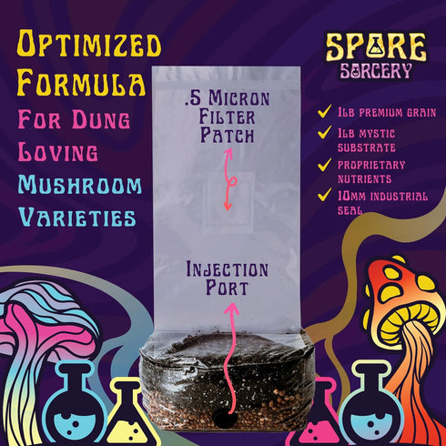 2 LB 16oz SPORE SORCERY All-in-One Grow Bag: Up to of Mushrooms! Nutrient-Enhanced, Injection Port, Just Add Your Own