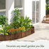 Wood Garden Edging Border, No Dig Landscape Edging, Decorative Flower Bed Border, 11.8" H x 48" L (1 Pack)