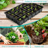 Coldairsoap 50P Seed Starter Sponge for Germinate Quickly, Hydroponic Sponges Grow Starter Pod for Plants Vegetables