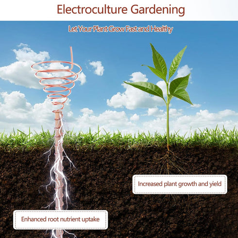 YBB Electroculture Gardening Copper Kit, 99.9% Pure Copper Wire 16 Gauge with Wooden Stakes for Garden Plants