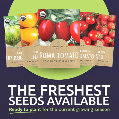 Pack 5 Packs 2026 Organic Cherry Tomato Seeds Variety - Individual - Season - Green Zebra, Sweetie Cherry, Chadwick