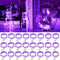 pozzolanas 24 Pack Purple Fairy Lights Battery Operated 3 Modes 7FT 20