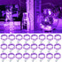 pozzolanas 24 Pack Purple Fairy Lights Battery Operated 3 Modes 7FT 20