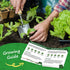 10 Heirloom Lettuce Seeds - Varieties, Non-GMO Seeds for Planting - Includes Spinach, Kale, Arugula, Romaine, Iceberg