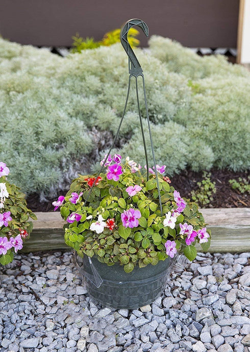 Curtis Wagner Plastics Hanging Basket Drip Pan, Clear, 12 Inch