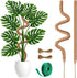 imezos 2 Pack 30 Inch Moss Pole for Plants, Moss Poles for Climbing