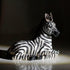 Zebra Table Sculpture - Resin Zebra Figurine - Black, White - African