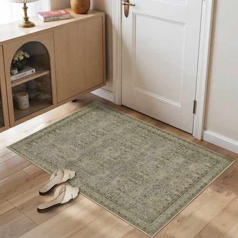 Rugxara Entryway Rug Door Mat, Washable Samll 2x3 Rug, Boho Front Door