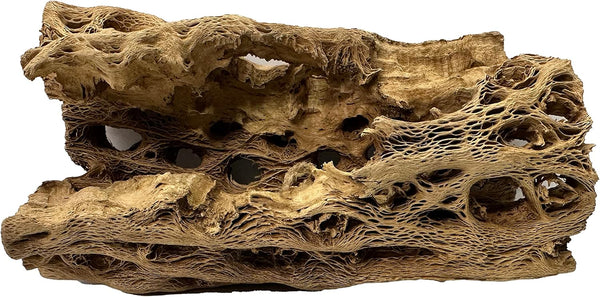 Awesome Industries Natural Cholla Wood Chunk Large Air Plant Display Holders Individually Unique Decorative
