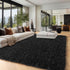 5x7, PAGISOFE Black Fluffy Shag Area Rugs for Bedroom Soft Fuzzy Shaggy Machine Washable Rugs for Living Room,Plush