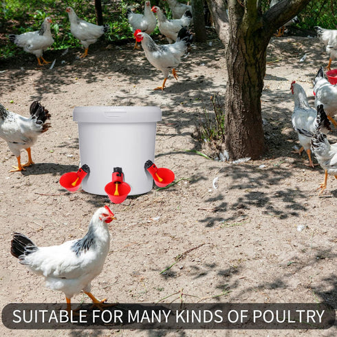 sansheng 12Pack Chicken Waterer Cups,Poultry Water Cups,Automatic Poultry Waterer for DIY Poultry Quail Duck Chicken
