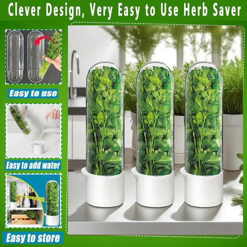 Minkeytal 2-3 Herb Saver for Refrigerator - Herb Keeper & Cilantro Container for Fridge | Vegetable Preservation