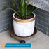 Sanbege 11.6" Resin Plant Caddy with Wheels, Round Plant Pallet, Plant Pot Trolley (Brown)