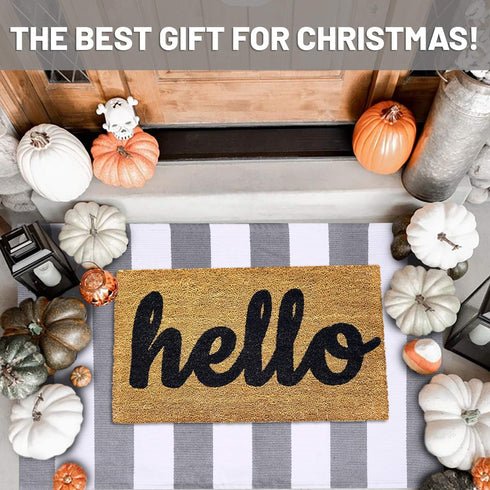 IOHOUZE Grey White Striped Rug -27.5" X 43" Front Door Mats Outdoor,Washable Rug for Front Porch Decor,Spring Summer Welcome Mats Outdoor Indoor, Doormat for Farmhouse/Entryway/Home Entrance by IOHOUZE
