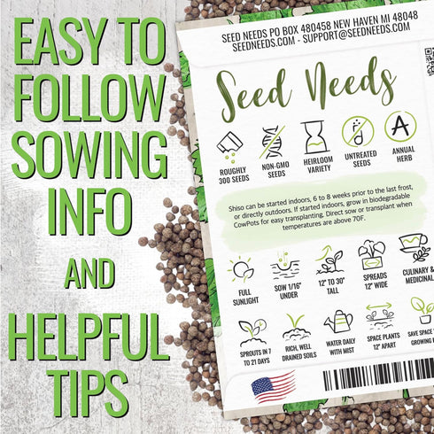 2 Packets) Seed Needs Shiso Seeds for Planting Green & Red Perilla - Non-GMO Heirloom & Untreated Herb Seed to Plant an