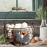 LINCOUNTRY. Countertop Chicken Wire Egg Basket for Gathering Fresh Eggs, Round Metal Egg Collecting Basket with Wooden