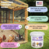 (10 Pampered Chicken Mama Floral Dust Bath with Premium Herbs & Flowers: All Natural Poultry Supplies for Hens Who Love
