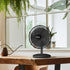 HOLMES 12" Table Fan with 75° Oscillation, 3 Speeds, 15° Adjustable Head Tilt, Ideal for Home, Bedroom, Office, Black