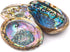 Hand Selected Abalone Shell - 6 Inches or Larger, Perfect for Incense and Trinkets